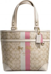 Coach - The Fashionable "Must have handbag"
